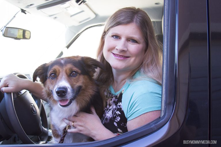 Tips for Traveling with your Pet