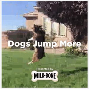 Milkbone Gifmaker