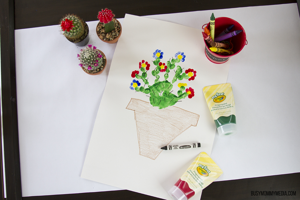Handprint Flowering Cactus