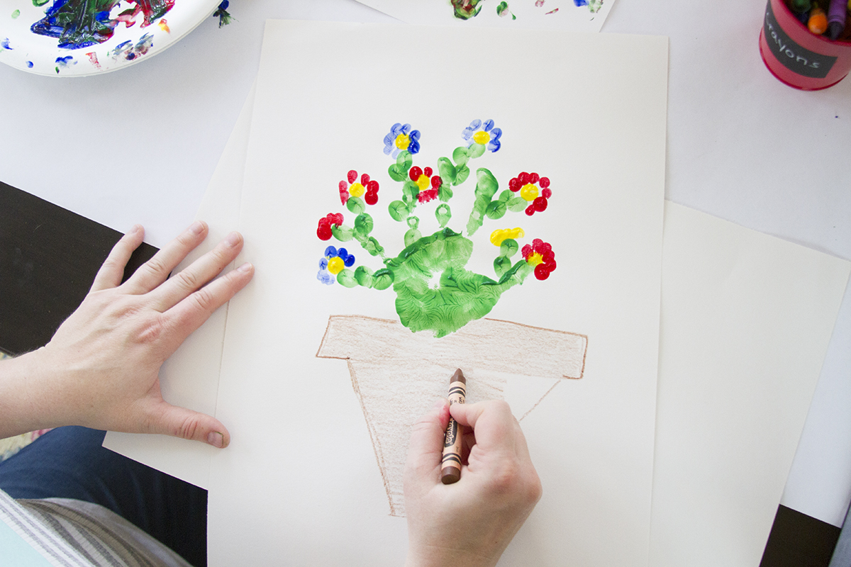 Handprint Flowering Cactus