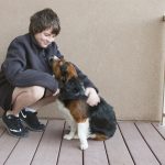 Emotional Support Dog