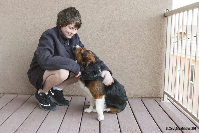 Emotional Support Dog