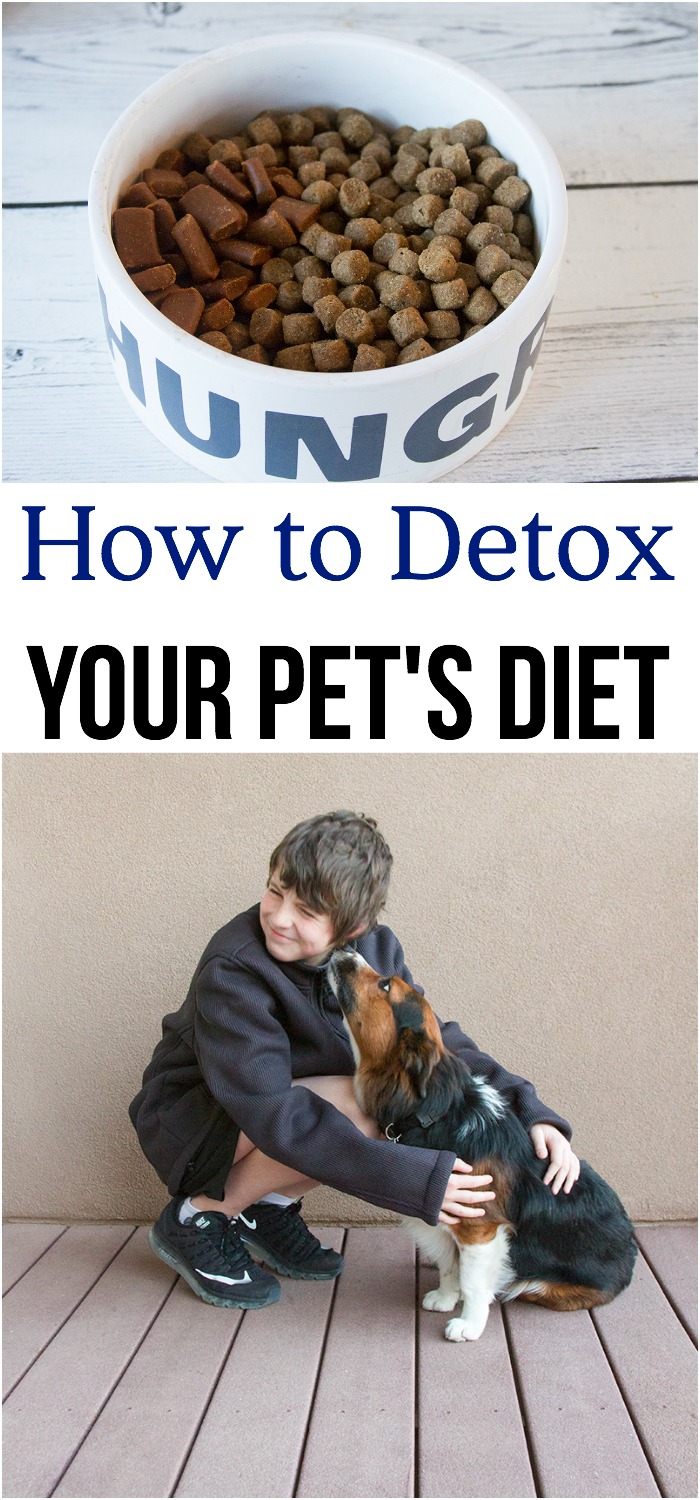 How to Detox Your Pet's Diet