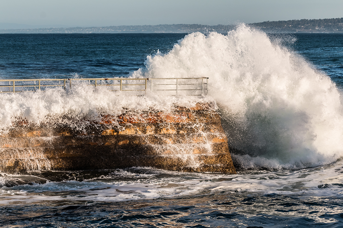 La Jolla Children's Pool