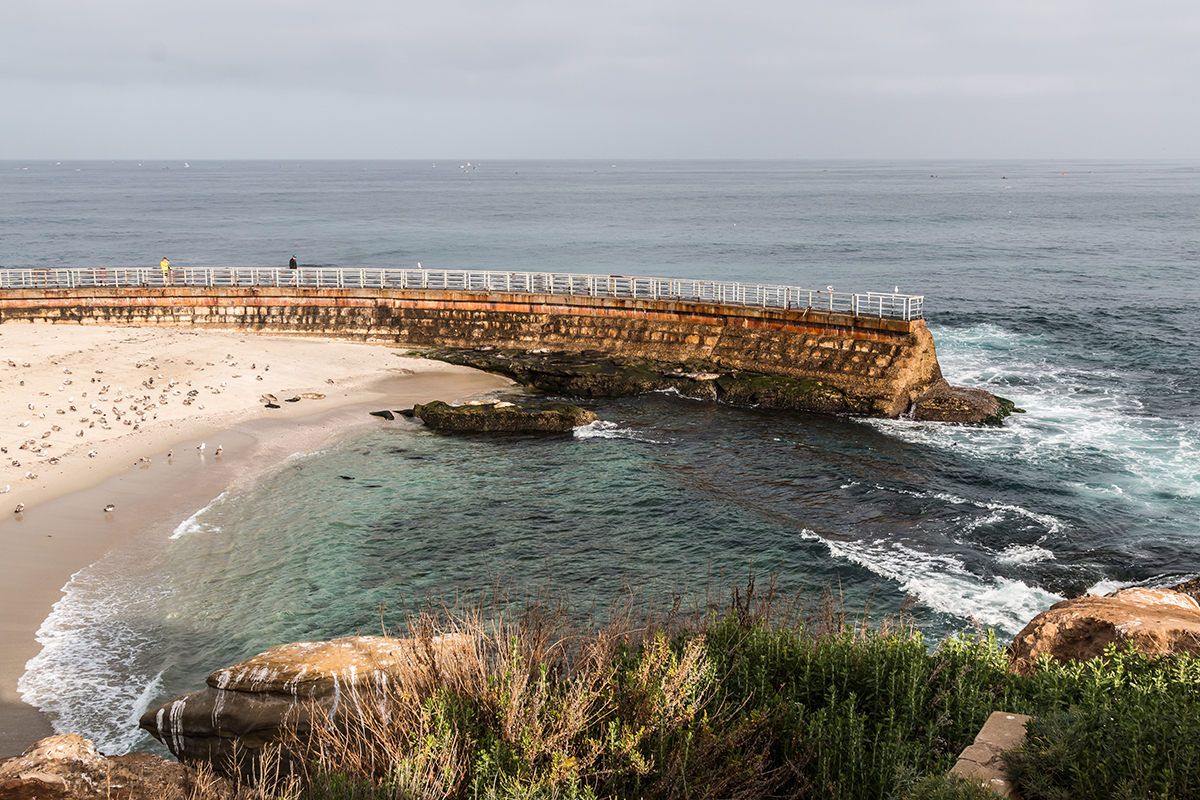La Jolla Cove