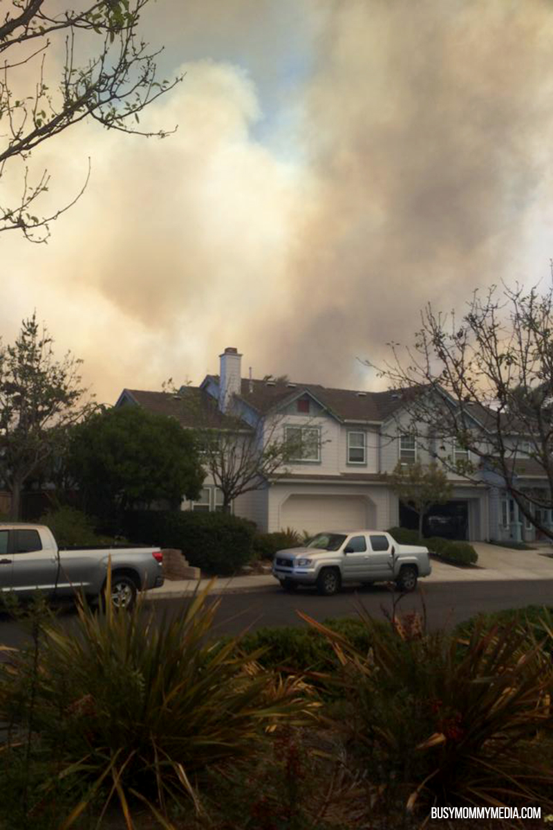 Poinsettia Fire, 2014