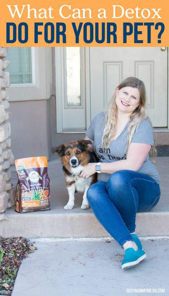 What Can a Detox Do for your Pet?