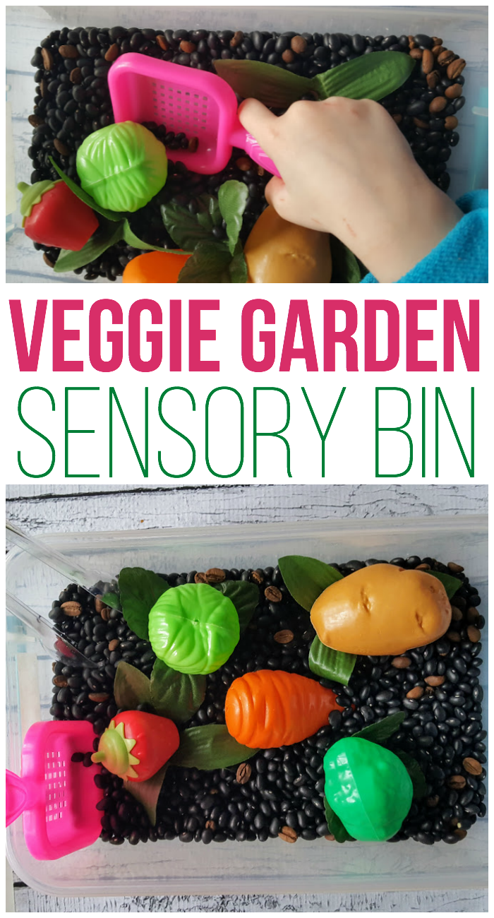 Veggie Garden Sensory Bin