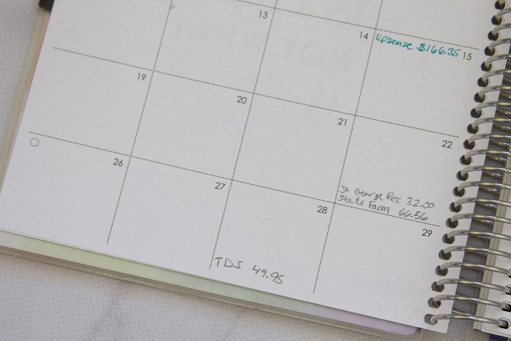 Erin Condren Deluxe Monthly Planner