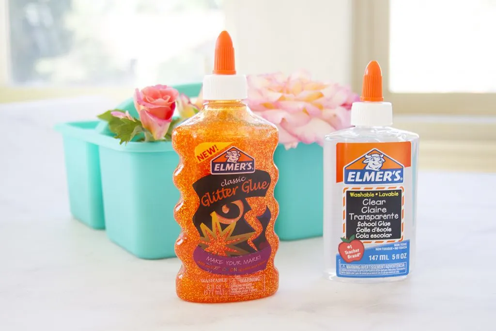 STEM Activity Life Cycle Glue Suncatchers