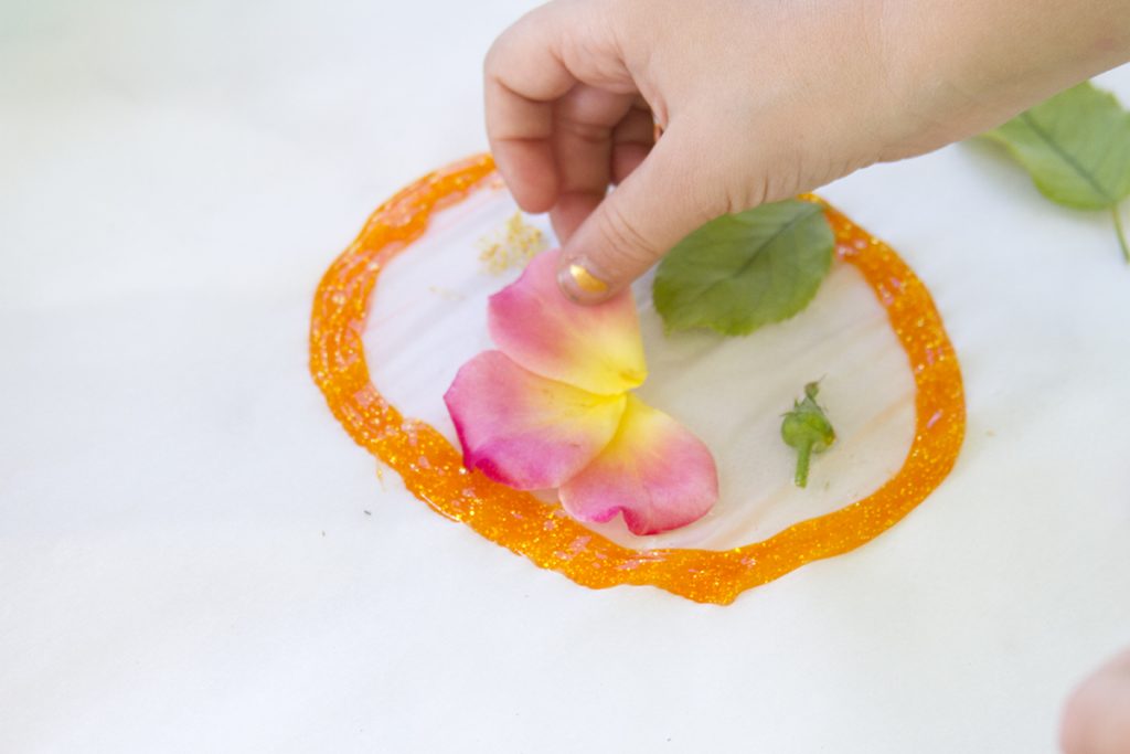 lifecycle suncatcher