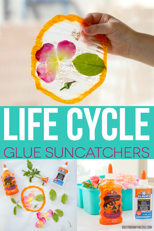 Life Cycle Glue Suncatchers