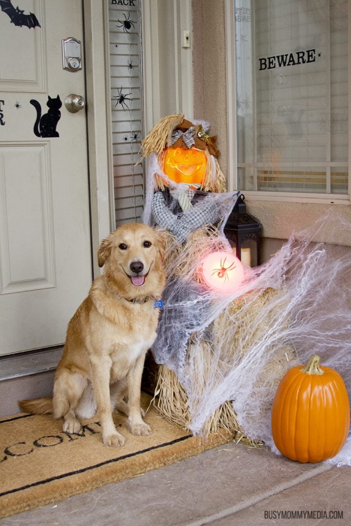 Halloween Lighting from Phillips Hue