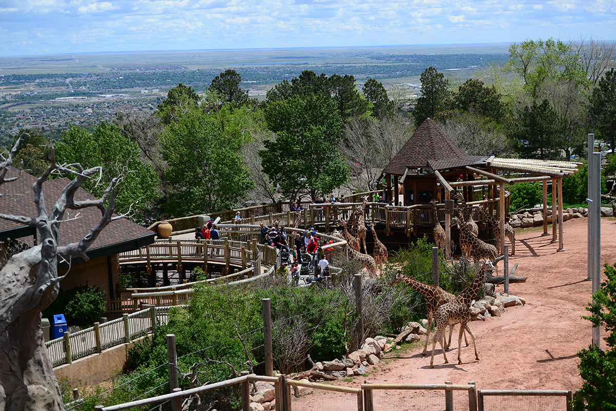 Cheyenne Mountain Zoo