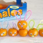 Halos Bunnies for Easter