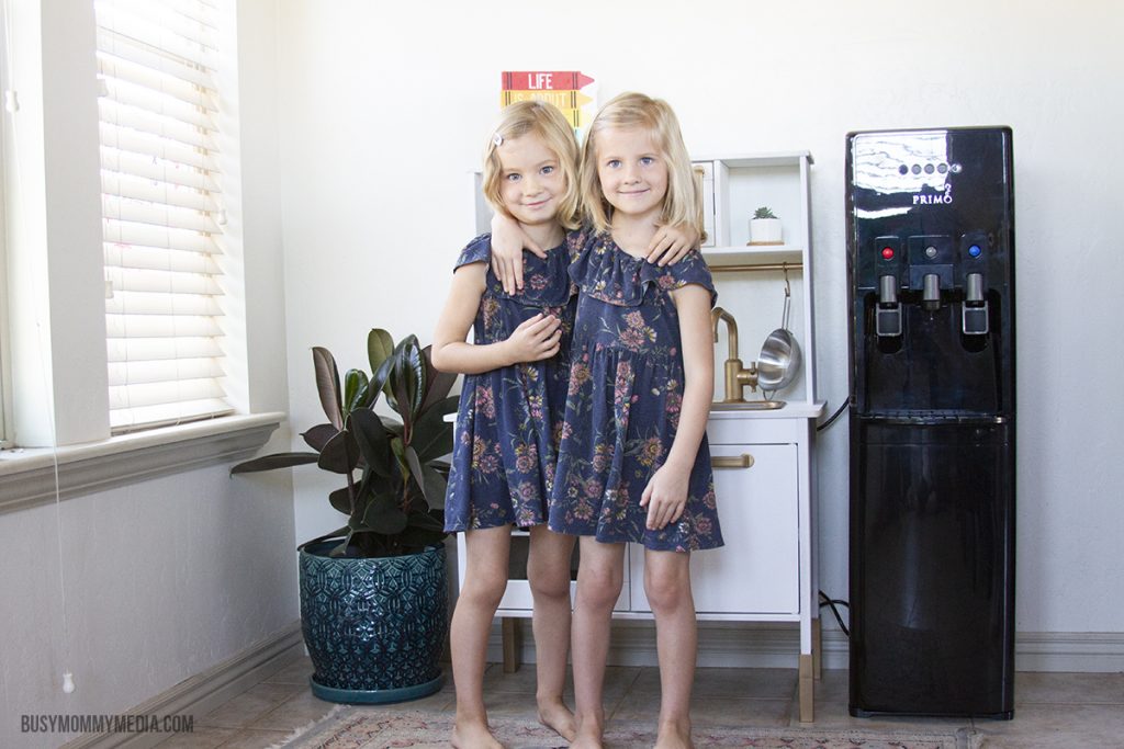 Primo Water filter