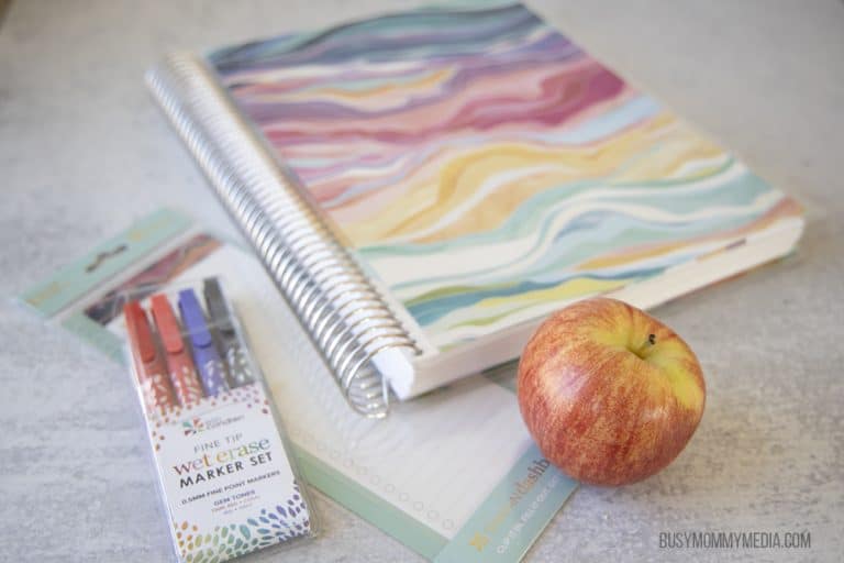 How to Organize Your Homeschool Using an Erin Condren Teacher Lesson Planner