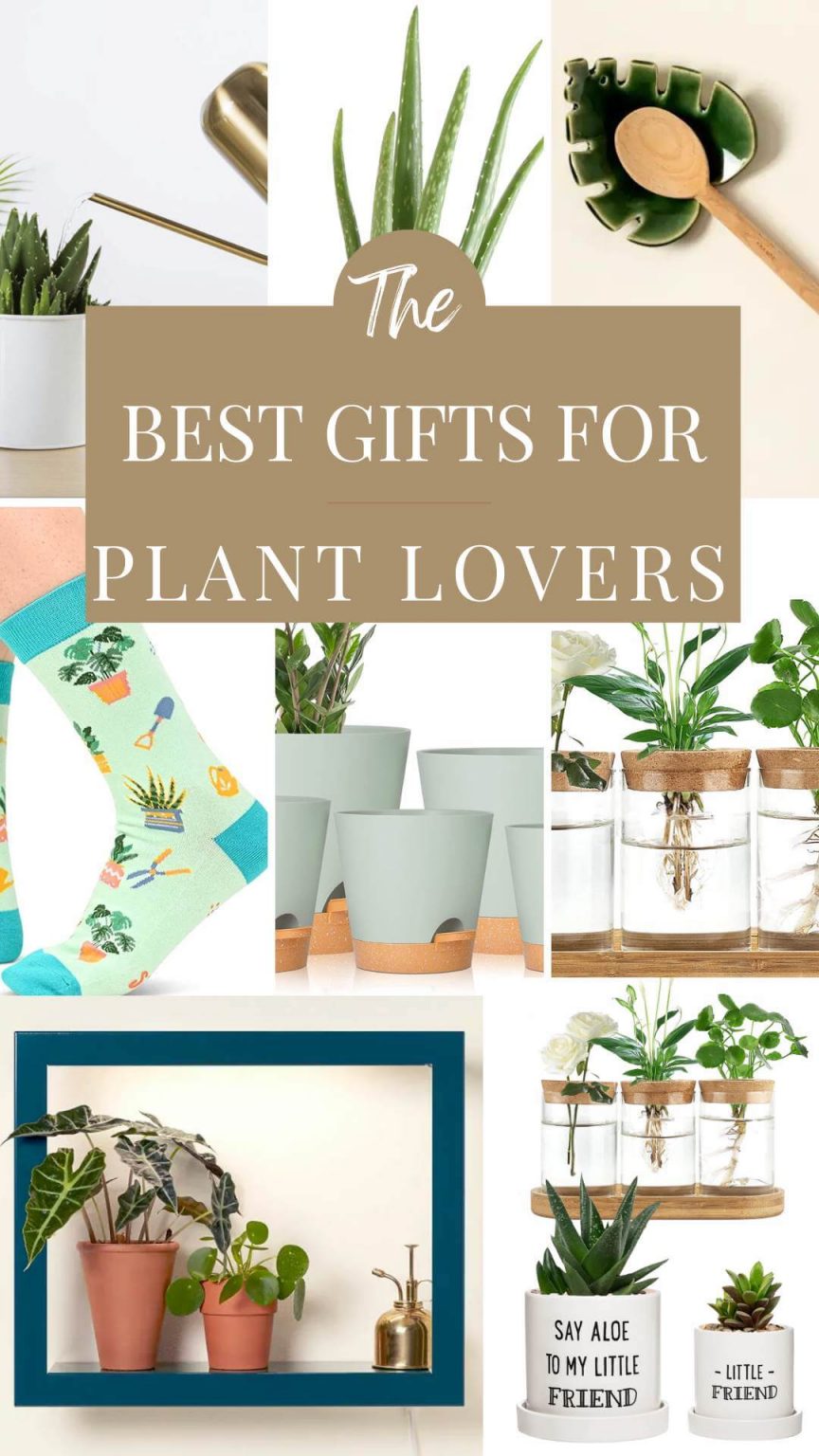 The Best Gift Ideas for Plant Lovers