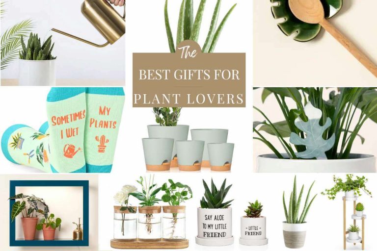 The Best Gift Ideas for Plant Lovers