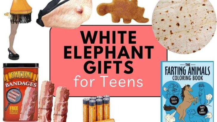 white elephant gift for teens