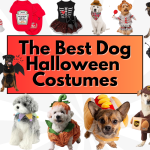 Best Dog Halloween Costumes