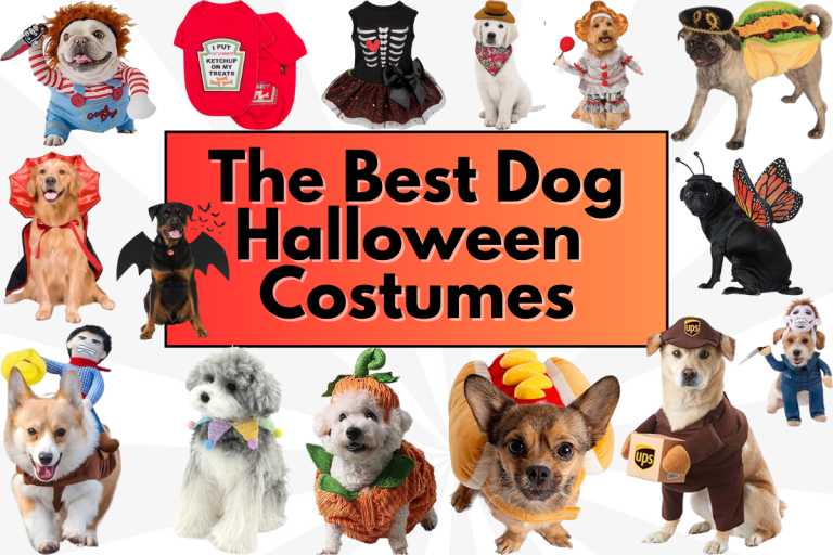 Best Dog Halloween Costumes