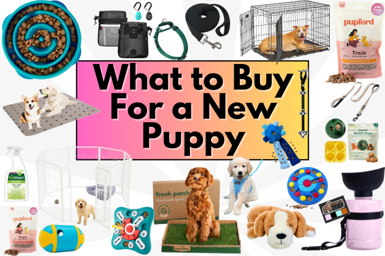 What to Buy for a New Puppy