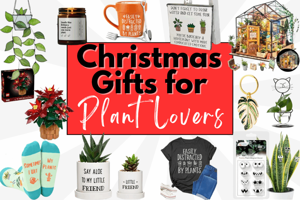 Christmas Gifts for Plant Lovers
