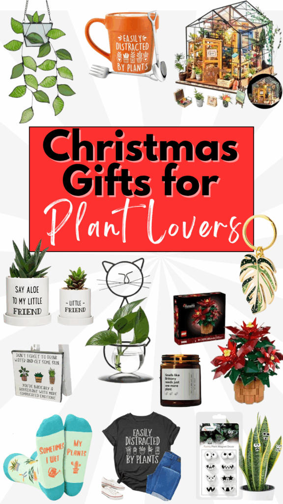 Best Christmas Gifts for Plant Lovers