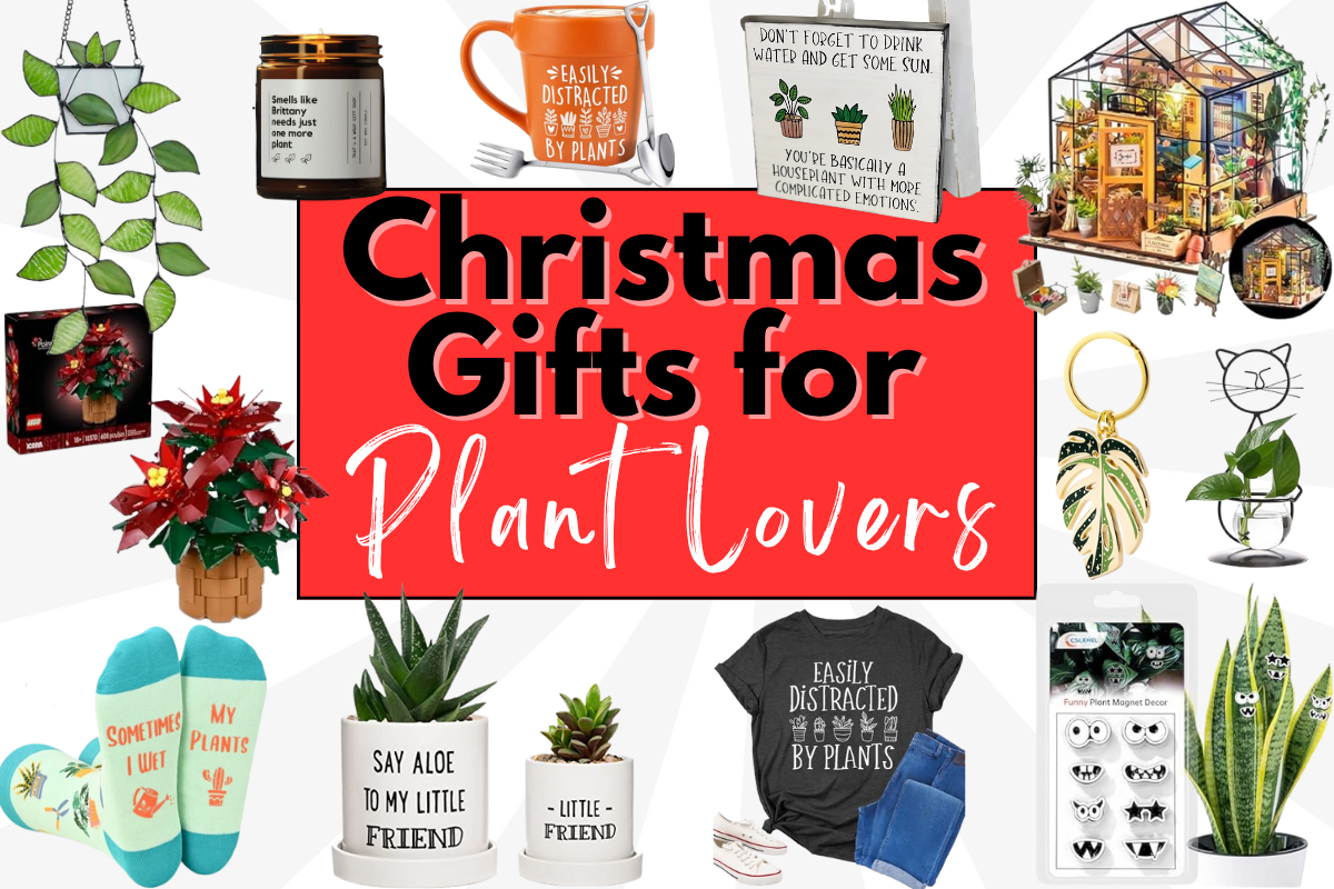 Best Christmas Gifts for Plant Lovers